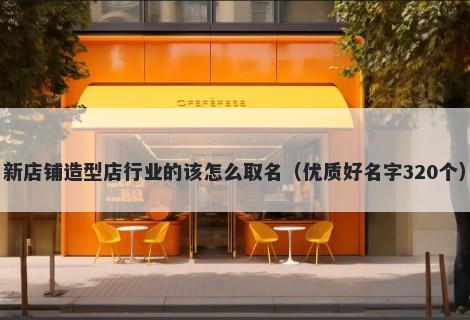 新店铺造型店行业的该怎么取名（优质好名字320个）