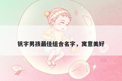 钒字男孩最佳组合名字，寓意美好