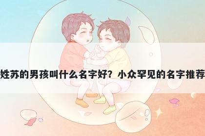 姓苏的男孩叫什么名字好？小众罕见的名字推荐