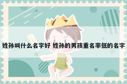 姓孙叫什么名字好 姓孙的男孩重名率低的名字