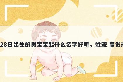 2026年-04月-28日出生的男宝宝起什么名字好听，姓宋 高贵端庄的名字推荐