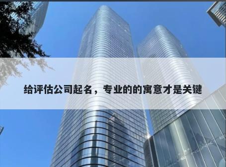 给评估公司起名，专业的的寓意才是关键