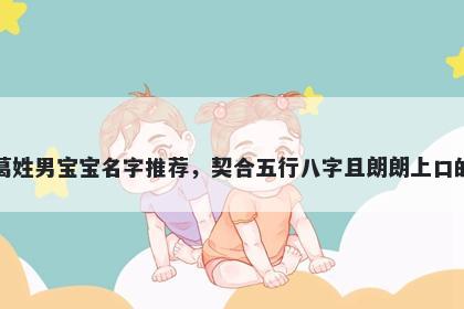 葛姓男宝宝名字推荐，契合五行八字且朗朗上口的