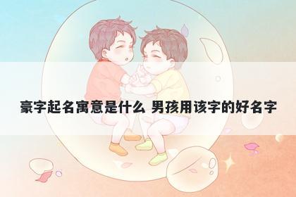 豪字起名寓意是什么 男孩用该字的好名字