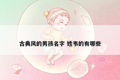 古典风的男孩名字 姓韦的有哪些