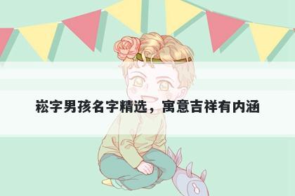 崧字男孩名字精选，寓意吉祥有内涵