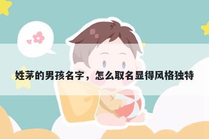 姓茅的男孩名字，怎么取名显得风格独特