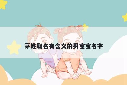 茅姓取名有含义的男宝宝名字