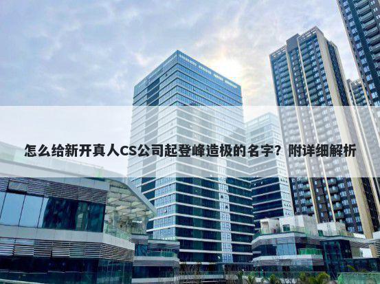 怎么给新开真人CS公司起登峰造极的名字？附详细解析