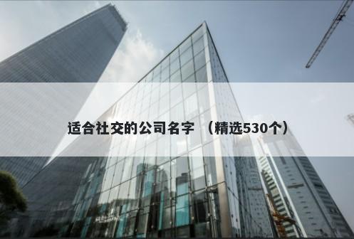 适合社交的公司名字 （精选530个）