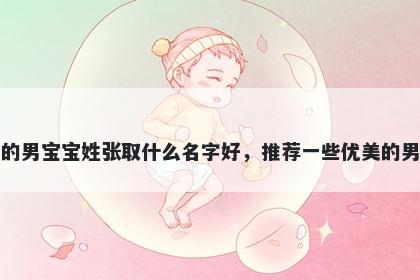 刚出生的男宝宝姓张取什么名字好，推荐一些优美的男孩名字