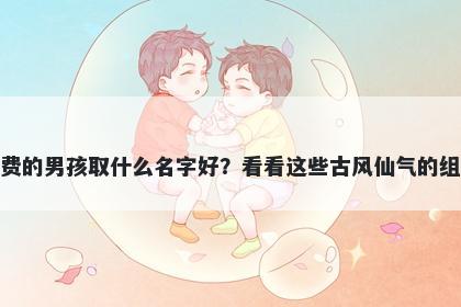 姓费的男孩取什么名字好？看看这些古风仙气的组合