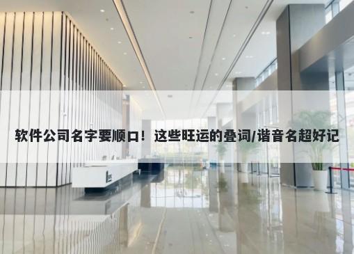 软件公司名字要顺口！这些旺运的叠词/谐音名超好记