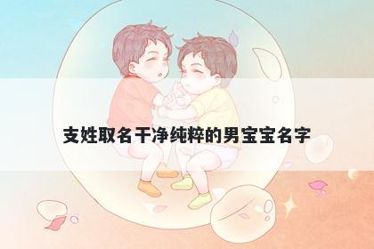 支姓取名干净纯粹的男宝宝名字