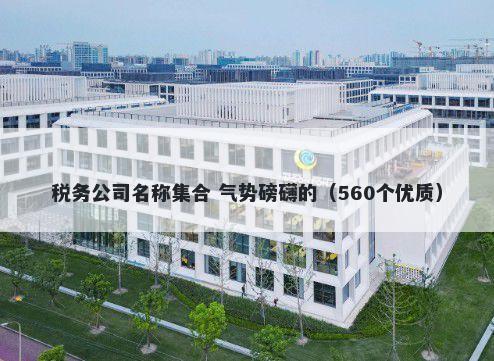 税务公司名称集合 气势磅礴的（560个优质）