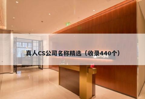 真人CS公司名称精选（收录440个）