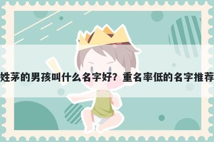 姓茅的男孩叫什么名字好？重名率低的名字推荐
