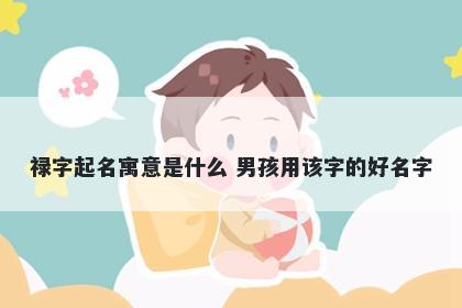 禄字起名寓意是什么 男孩用该字的好名字