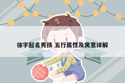 徐字起名男孩 五行属性及寓意详解