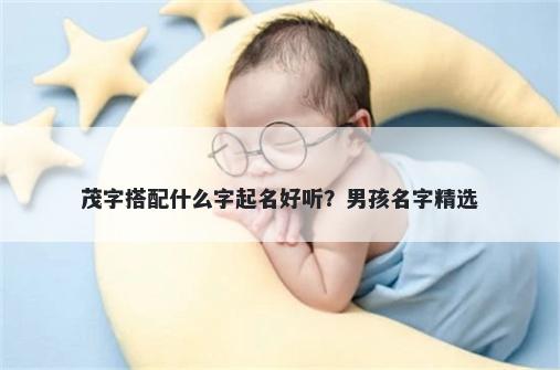 茂字搭配什么字起名好听？男孩名字精选