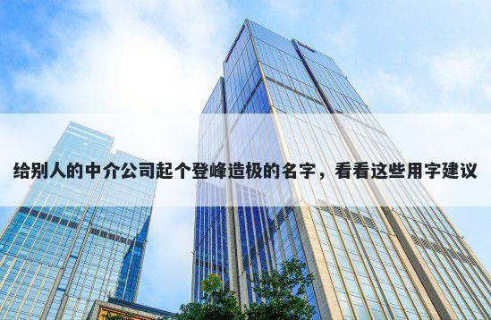 给别人的中介公司起个登峰造极的名字，看看这些用字建议