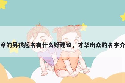 姓章的男孩起名有什么好建议，才华出众的名字介绍