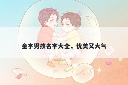 金字男孩名字大全，优美又大气