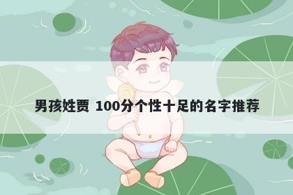 男孩姓贾 100分个性十足的名字推荐