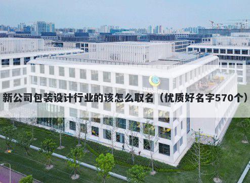 新公司包装设计行业的该怎么取名（优质好名字570个）