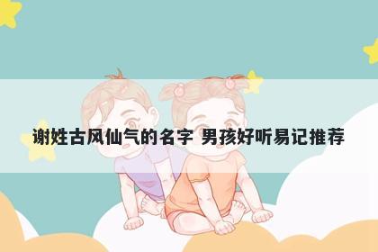 谢姓古风仙气的名字 男孩好听易记推荐