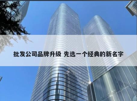 批发公司品牌升级 先选一个经典的新名字
