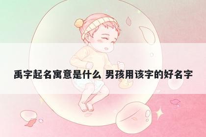 禹字起名寓意是什么 男孩用该字的好名字