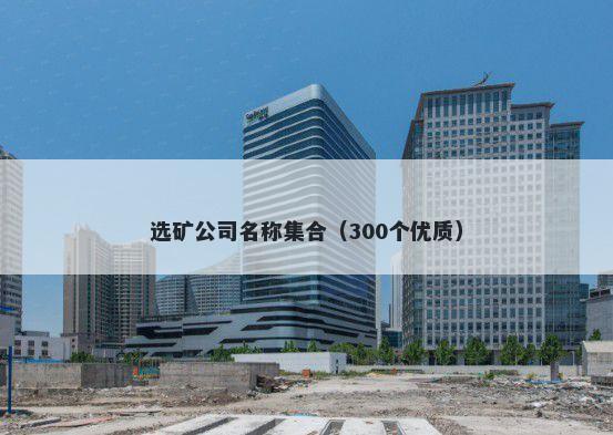 选矿公司名称集合（300个优质）