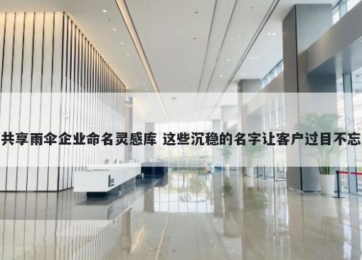 共享雨伞企业命名灵感库 这些沉稳的名字让客户过目不忘