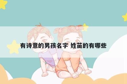 有诗意的男孩名字 姓苗的有哪些