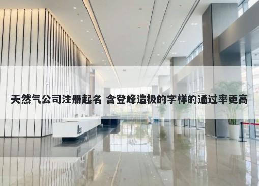 天然气公司注册起名 含登峰造极的字样的通过率更高