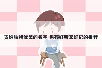 支姓独特优美的名字 男孩好听又好记的推荐