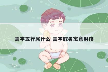 嵩字五行属什么 嵩字取名寓意男孩