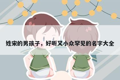 姓宋的男孩子，好听又小众罕见的名字大全