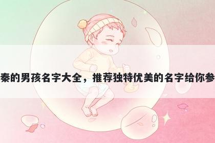 姓秦的男孩名字大全，推荐独特优美的名字给你参考