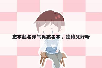 志字起名洋气男孩名字，独特又好听