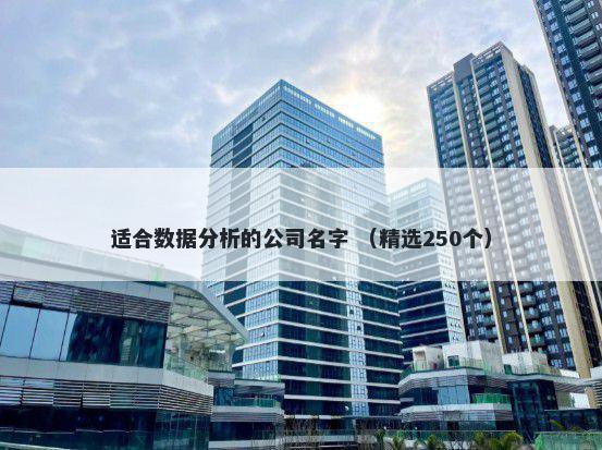 适合数据分析的公司名字 （精选250个）