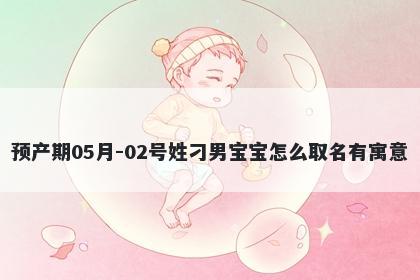 预产期05月-02号姓刁男宝宝怎么取名有寓意