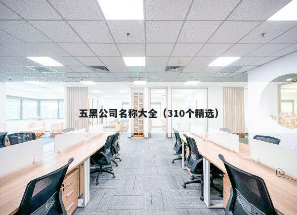 五黑公司名称大全（310个精选）