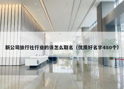 新公司旅行社行业的该怎么取名（优质好名字480个）