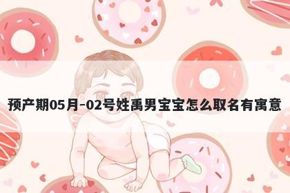 预产期05月-02号姓禹男宝宝怎么取名有寓意