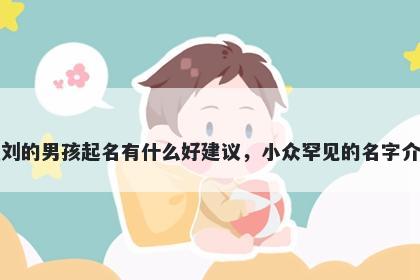 姓刘的男孩起名有什么好建议，小众罕见的名字介绍
