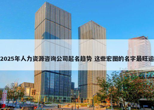 2025年人力资源咨询公司起名趋势 这些宏图的名字最旺运