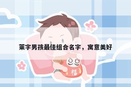 莱字男孩最佳组合名字，寓意美好