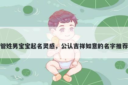 管姓男宝宝起名灵感，公认吉祥如意的名字推荐